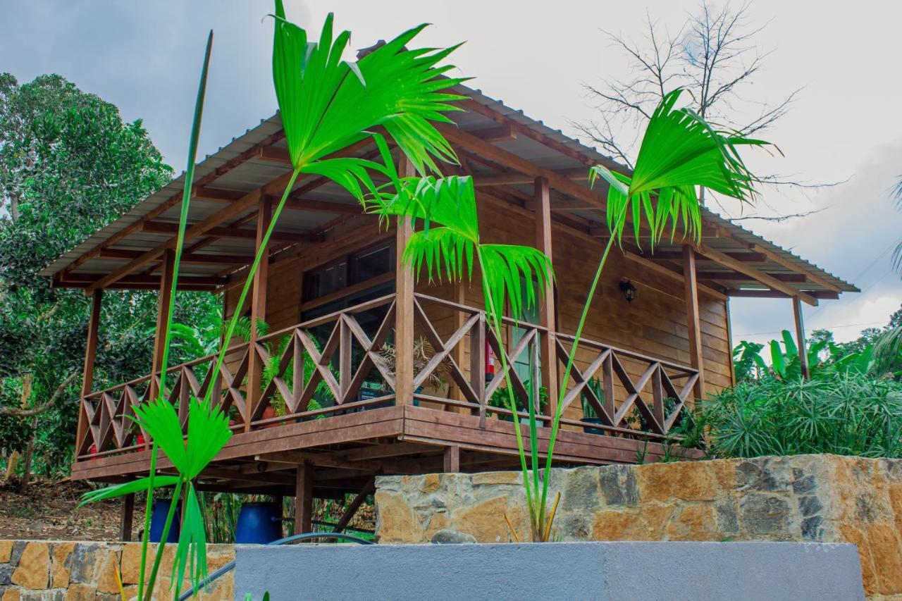 Eden Valley Ecolodge And Farming Madalena Ngoại thất bức ảnh