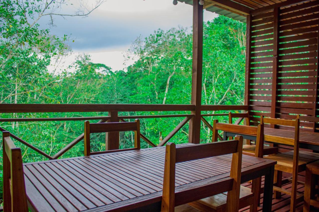 Eden Valley Ecolodge And Farming Madalena Ngoại thất bức ảnh