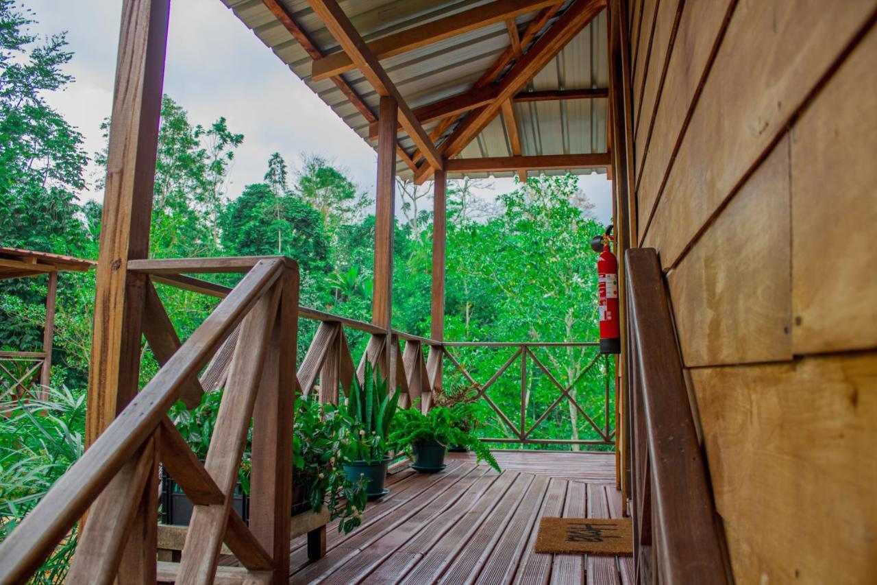 Eden Valley Ecolodge And Farming Madalena Ngoại thất bức ảnh
