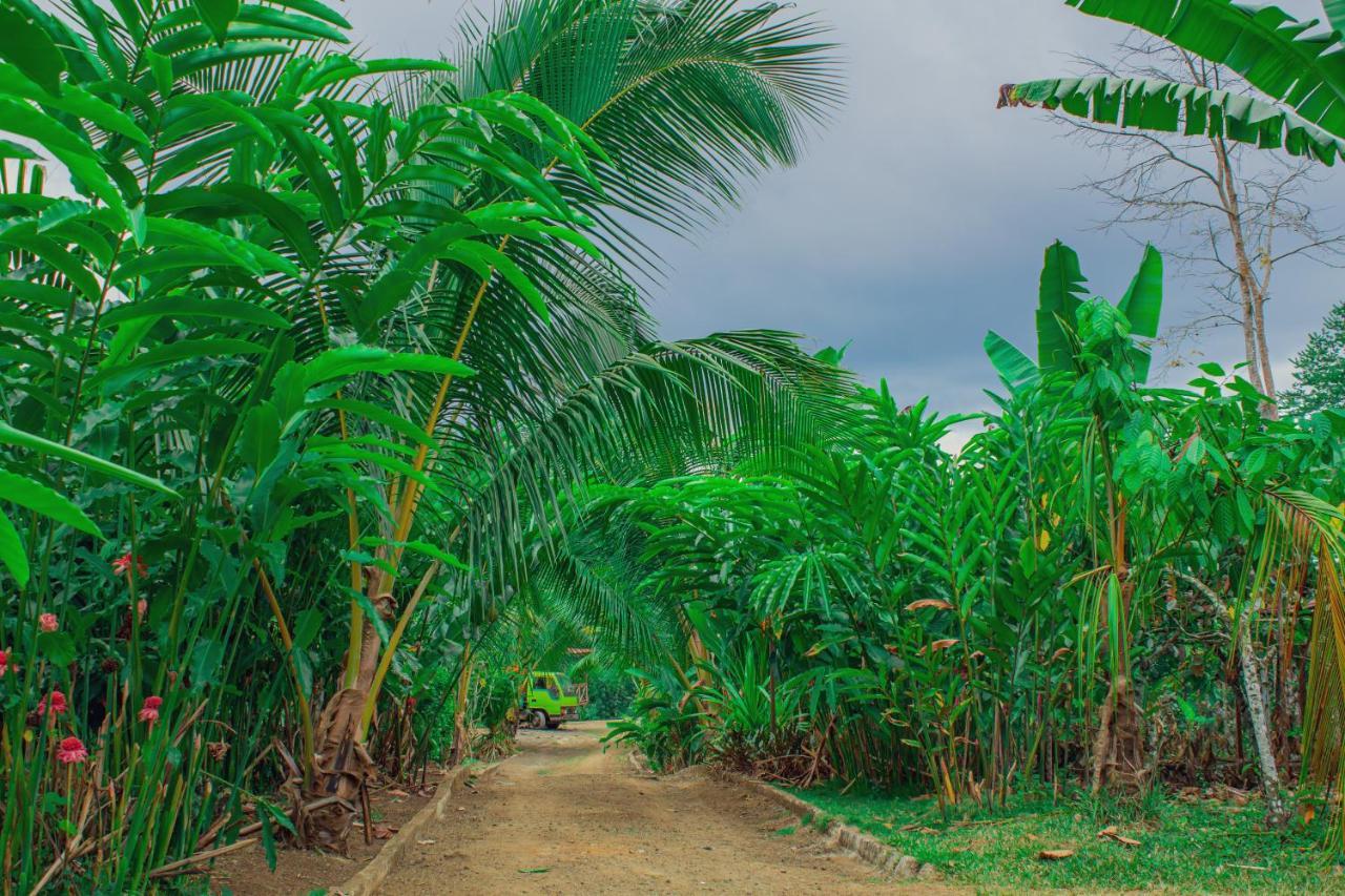 Eden Valley Ecolodge And Farming Madalena Ngoại thất bức ảnh