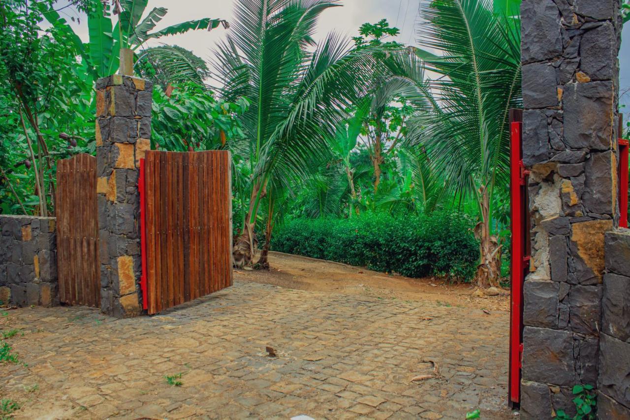 Eden Valley Ecolodge And Farming Madalena Ngoại thất bức ảnh