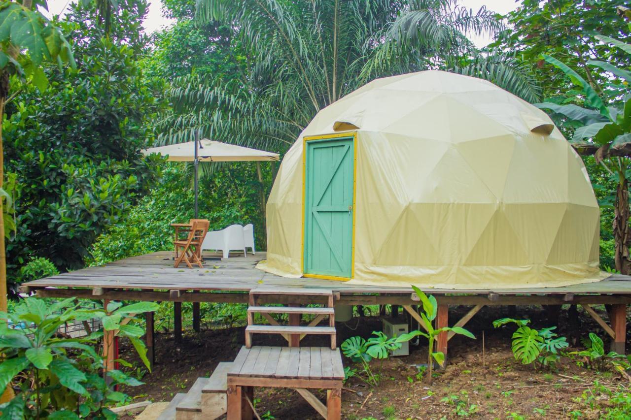 Eden Valley Ecolodge And Farming Madalena Ngoại thất bức ảnh