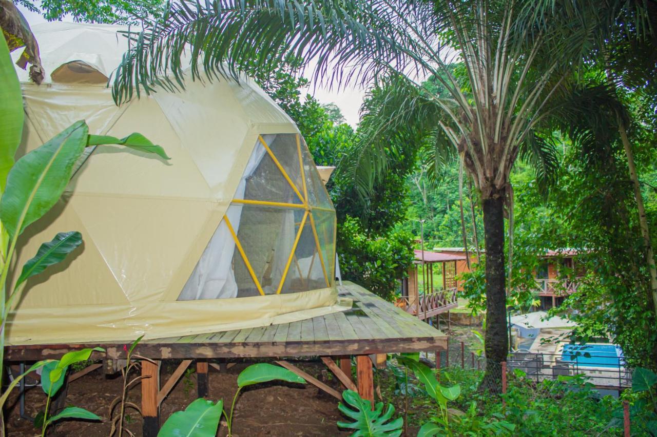 Eden Valley Ecolodge And Farming Madalena Ngoại thất bức ảnh
