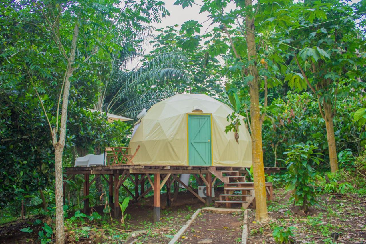 Eden Valley Ecolodge And Farming Madalena Ngoại thất bức ảnh