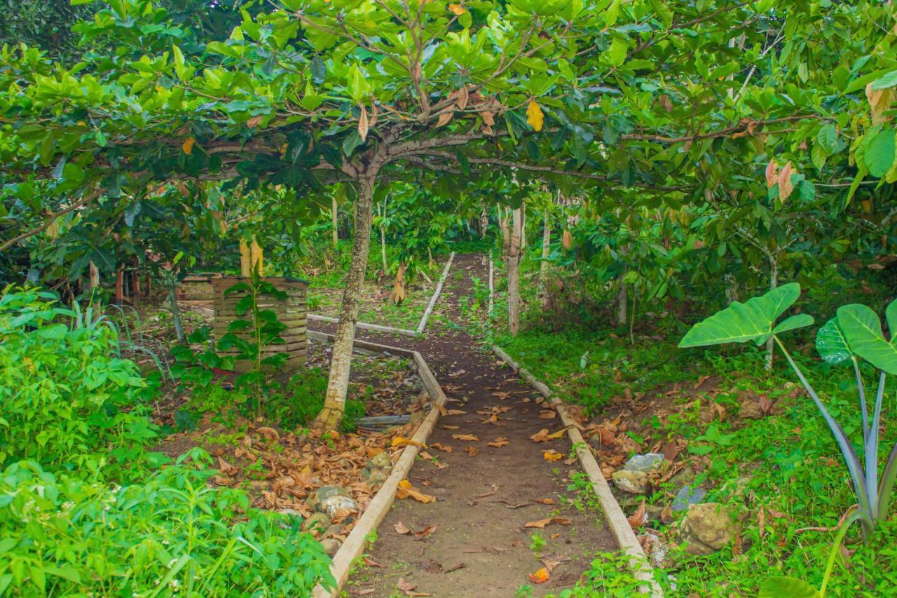 Eden Valley Ecolodge And Farming Madalena Ngoại thất bức ảnh