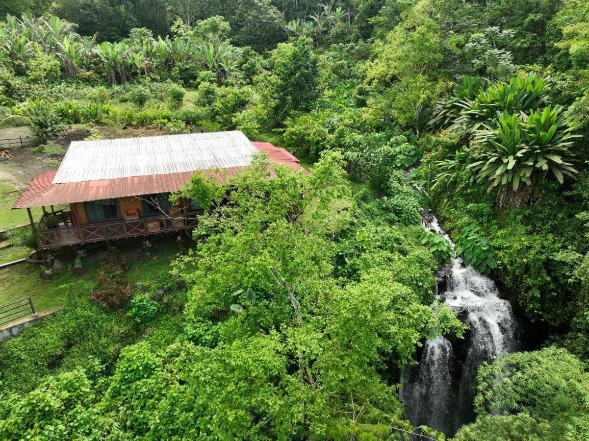 Eden Valley Ecolodge And Farming Madalena Ngoại thất bức ảnh
