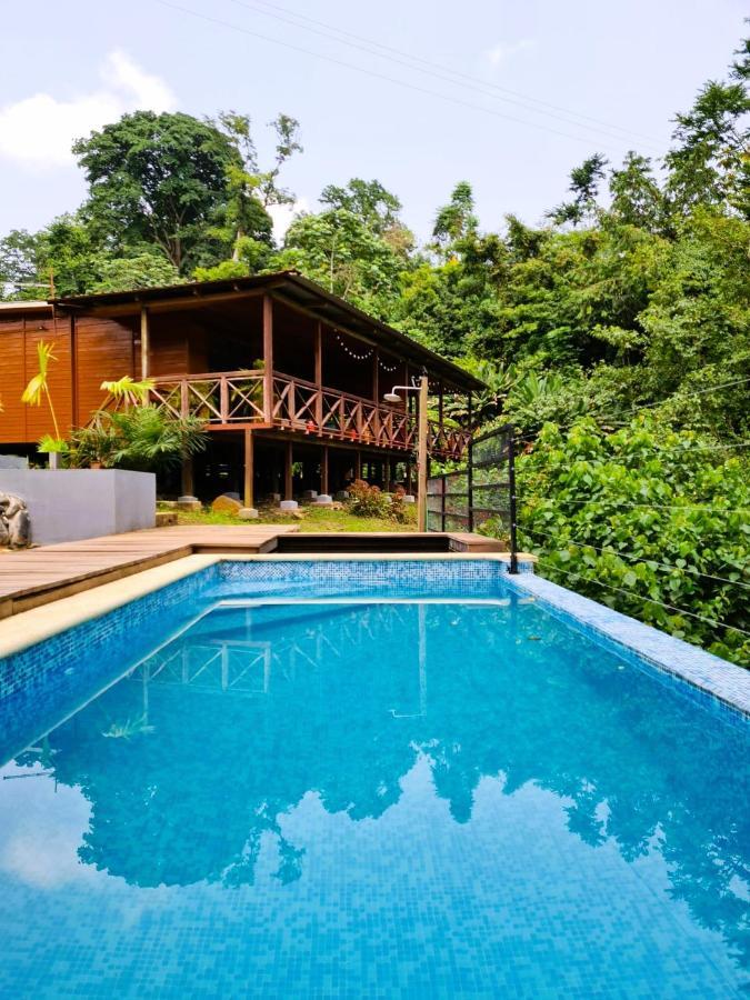 Eden Valley Ecolodge And Farming Madalena Ngoại thất bức ảnh