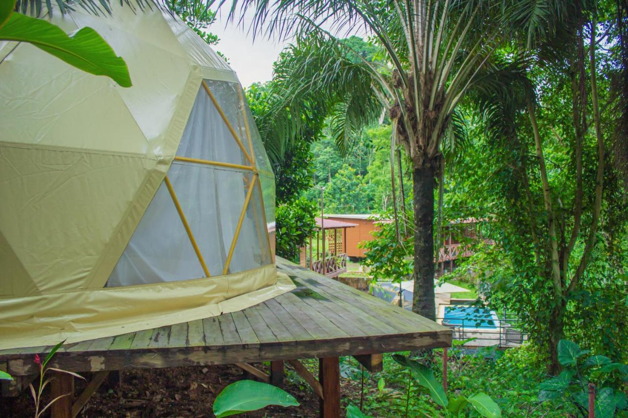 Eden Valley Ecolodge And Farming Madalena Ngoại thất bức ảnh