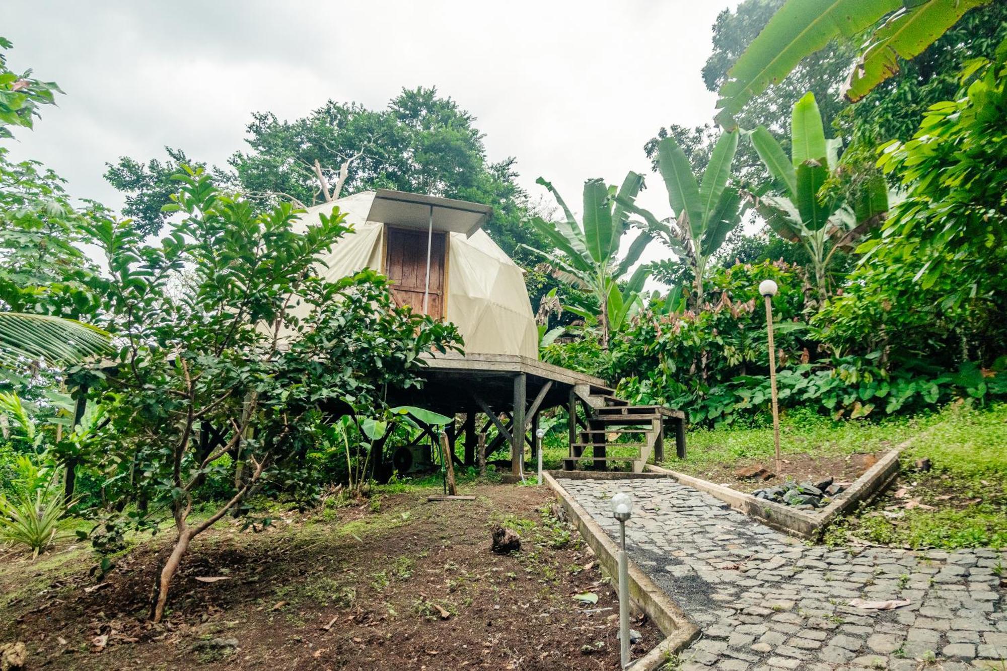 Eden Valley Ecolodge And Farming Madalena Ngoại thất bức ảnh
