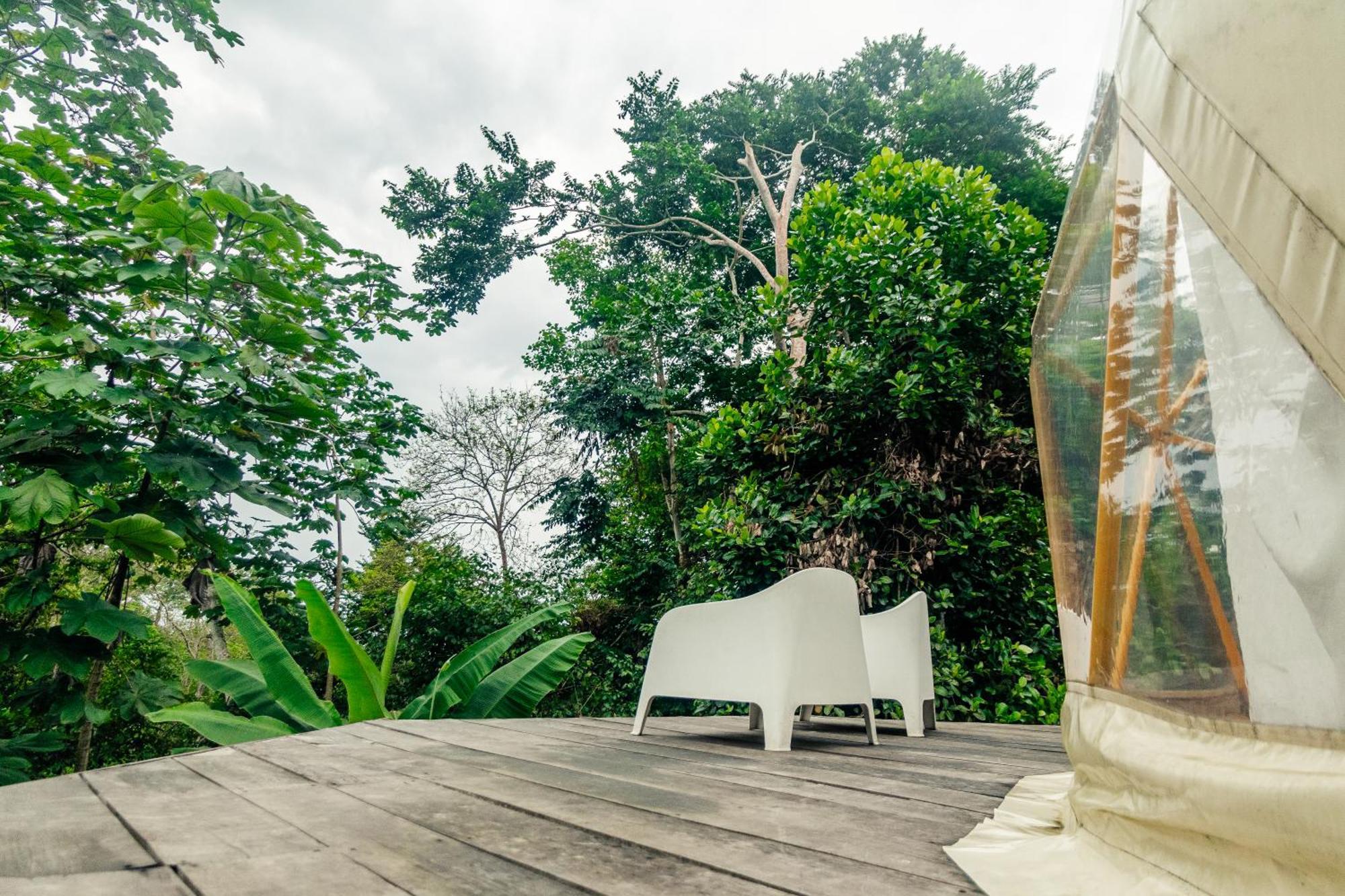 Eden Valley Ecolodge And Farming Madalena Ngoại thất bức ảnh